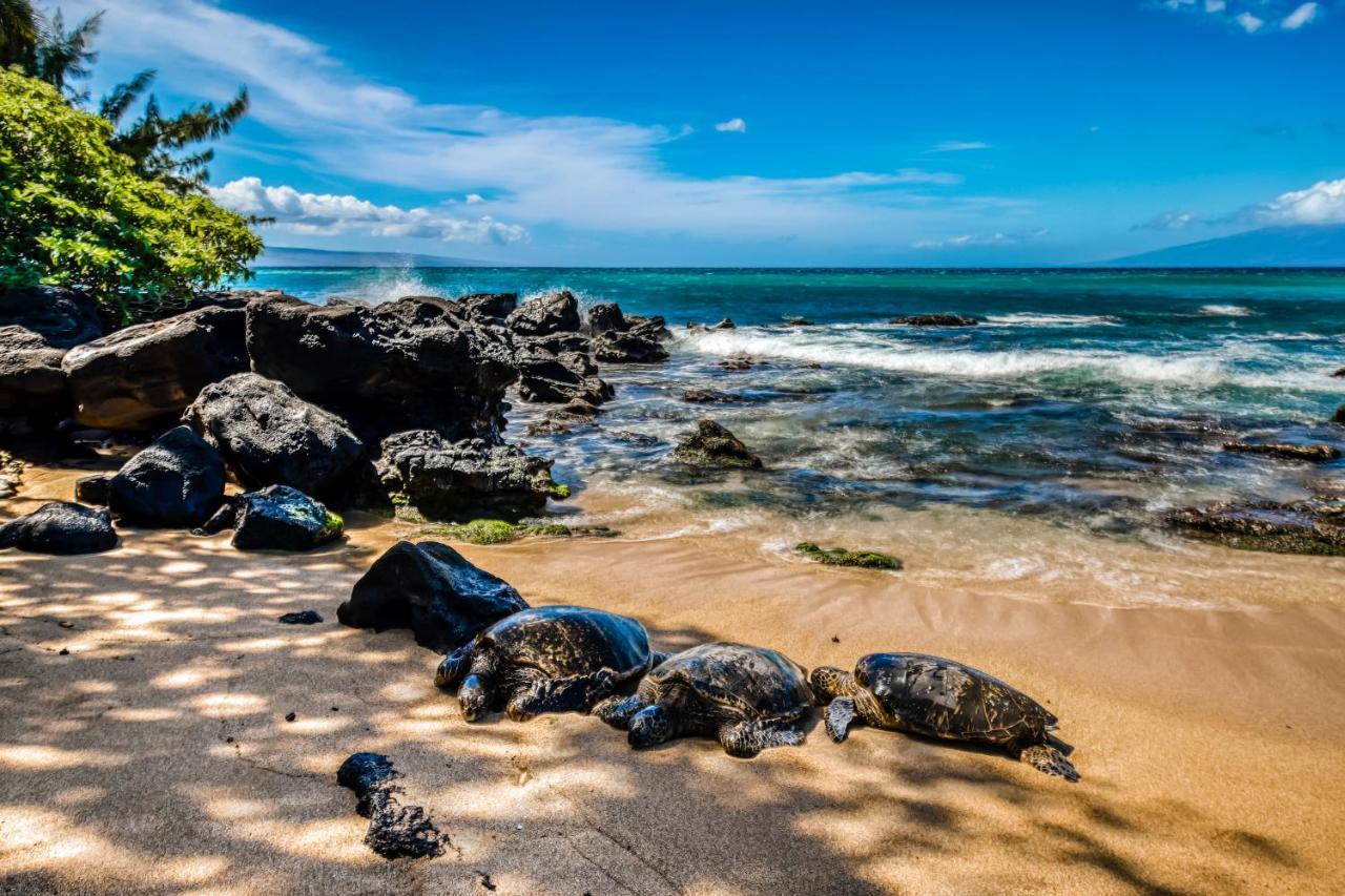 Mahina Surf I Napili-Honokowai Quarto foto
